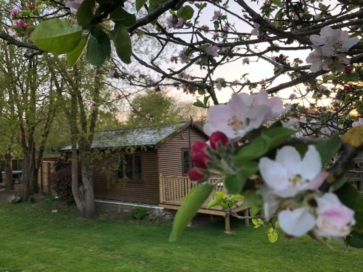 Cosy Dog Friendly Lodge With An Outdoor Bath On The Isle Of Wight Whitwell  Exterior photo